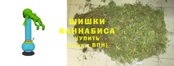 индика Наволоки