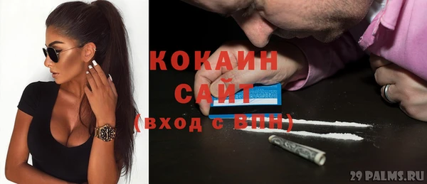 индика Наволоки