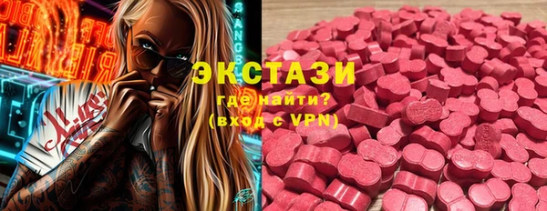 ECSTASY Богородск