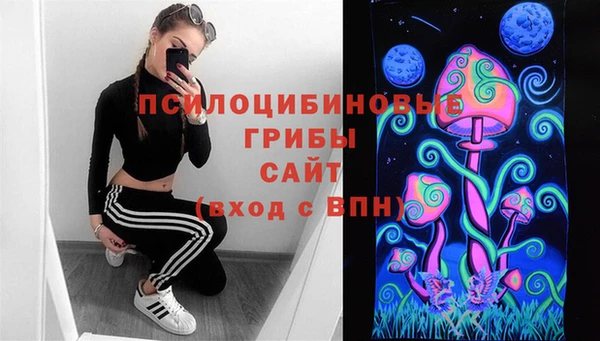 молекула духа Навашино