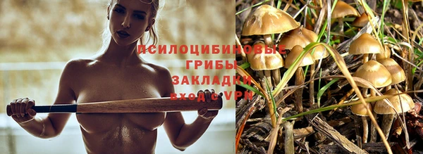 ПСИЛОЦИБИНОВЫЕ ГРИБЫ Надым