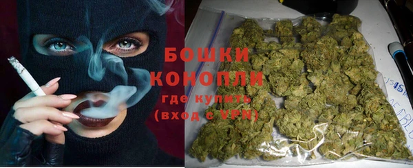 индика Наволоки