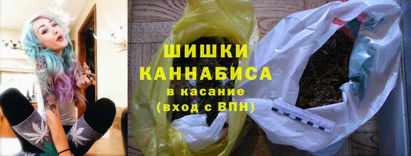 молекула духа Навашино