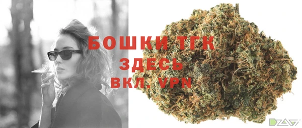 индика Наволоки