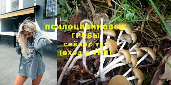 ПСИЛОЦИБИНОВЫЕ ГРИБЫ Надым