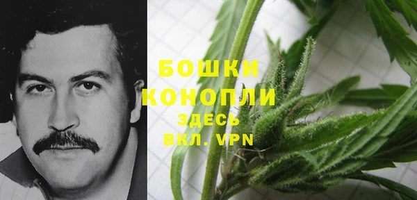ПСИЛОЦИБИНОВЫЕ ГРИБЫ Надым