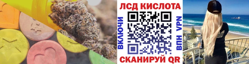 дарк нет клад  Новокубанск  ЛСД экстази кислота 