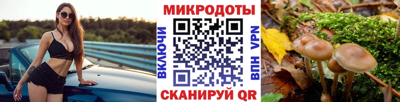 магазин    Новокубанск  KRAKEN онион  Галлюциногенные грибы мицелий 