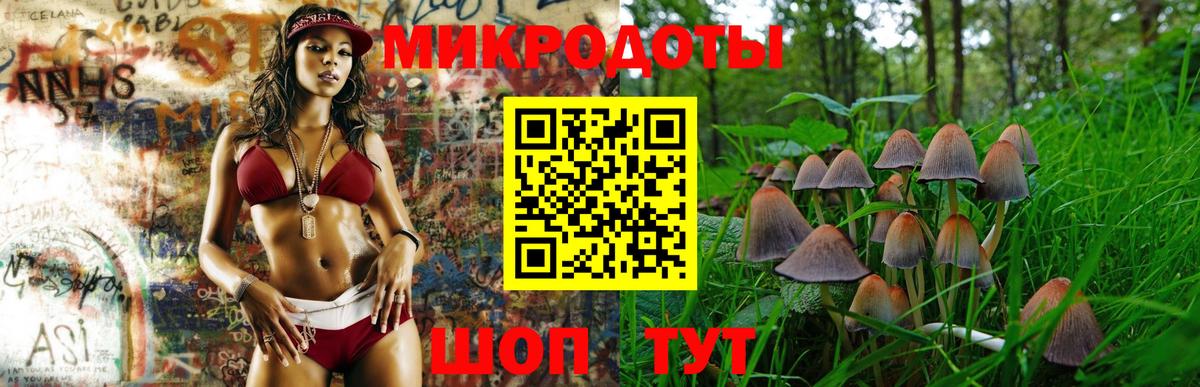 Новокубанск  Галлюциногенные грибы прущие грибы  Вход с VPN 